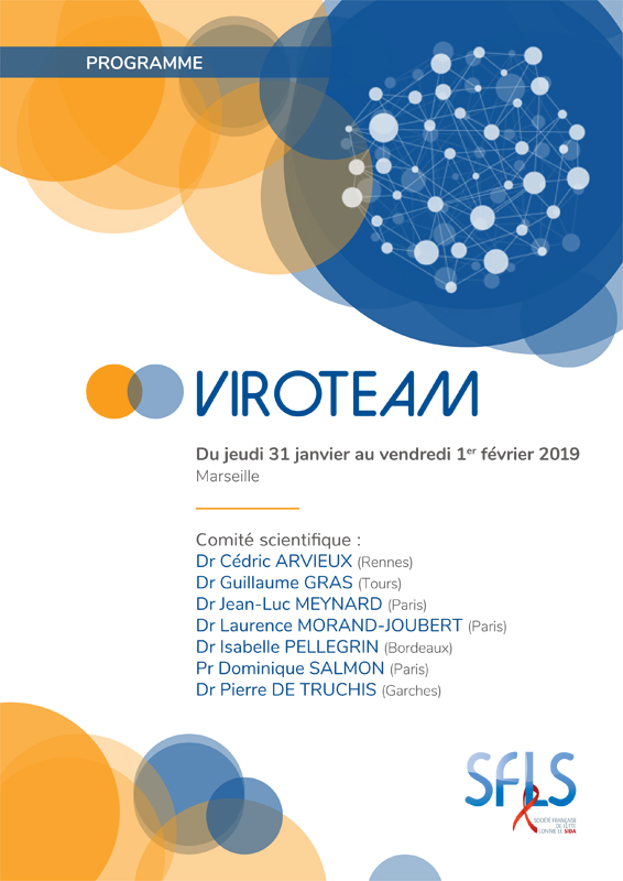 Séminaire « Viroteam » du 31 janvier au 1er février 2019